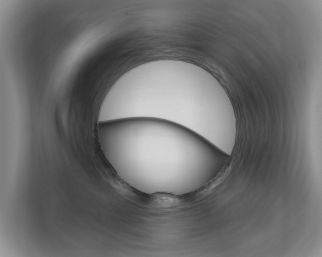 X0000110920429200906181220