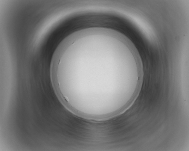 X0000110920431200906181219