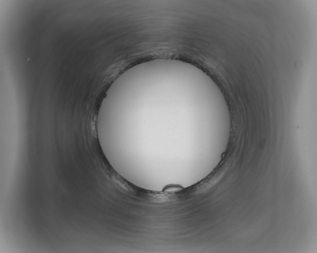 X0000110920432200906181219