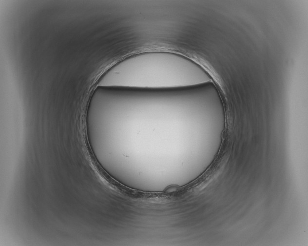 X0000110920433200906181219