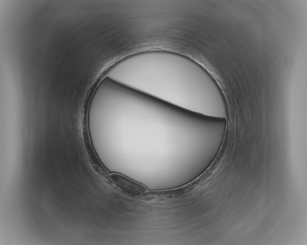 X0000110920434200906181219
