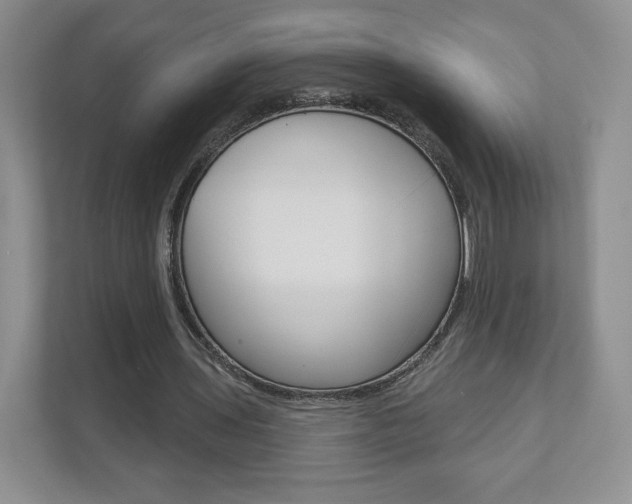 X0000110920435200906181219