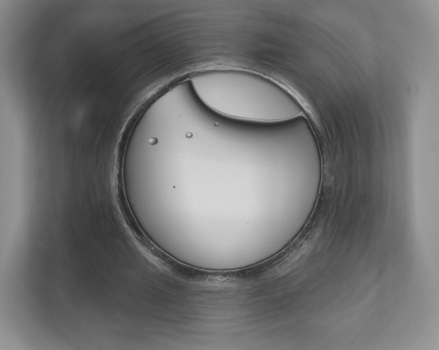 X0000110920437200906181219