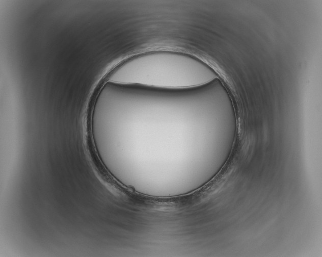 X0000110920438200906181219