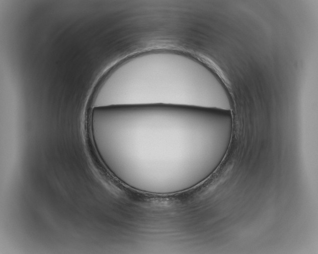 X0000110920439200906181219