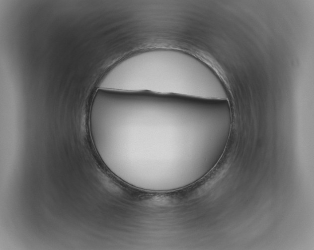 X0000110920441200906181219