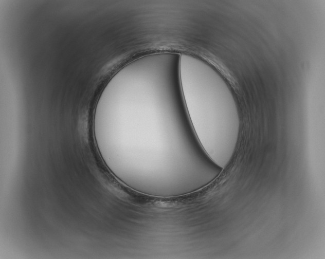 X0000110920442200906181219