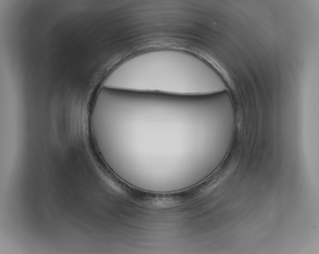X0000110920445200906181219