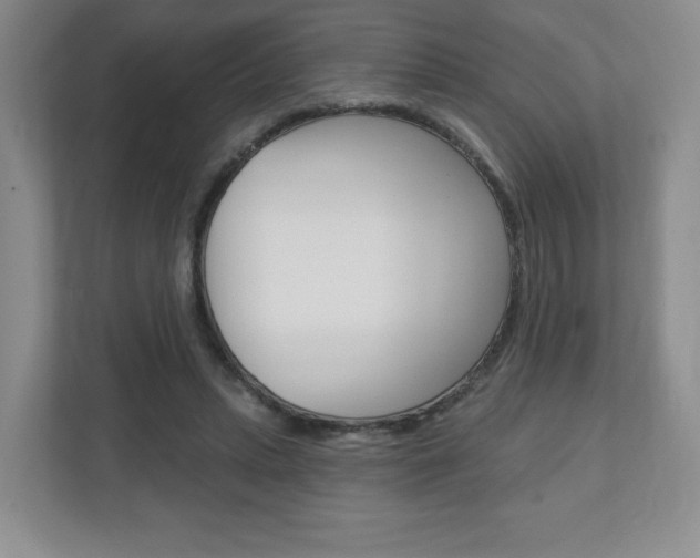X0000110920447200906181219