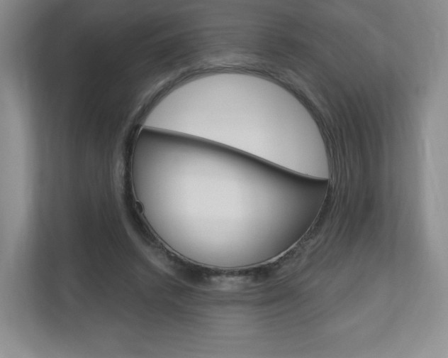 X0000110920448200906181219