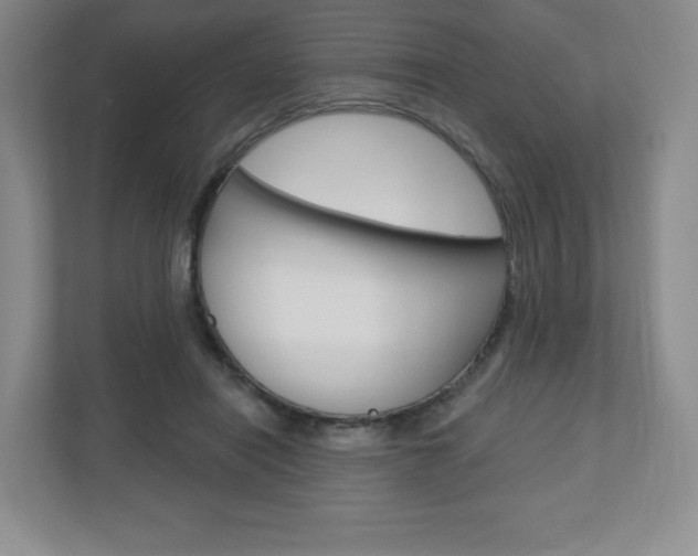 X0000110920454200906181219