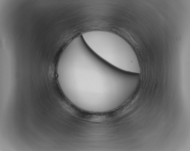 X0000110920458200906181219