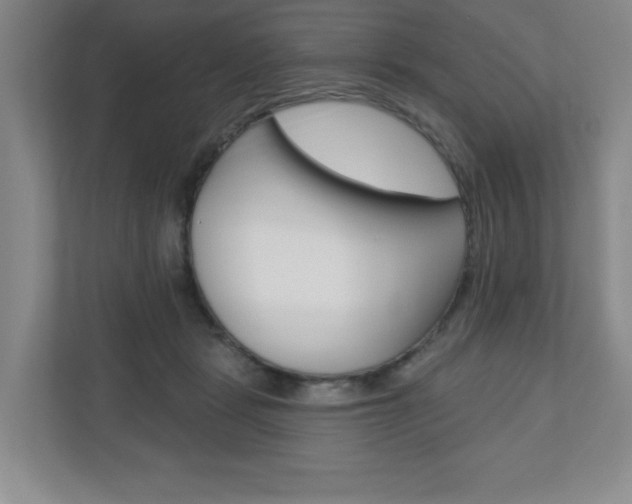 X0000110920461200906181219