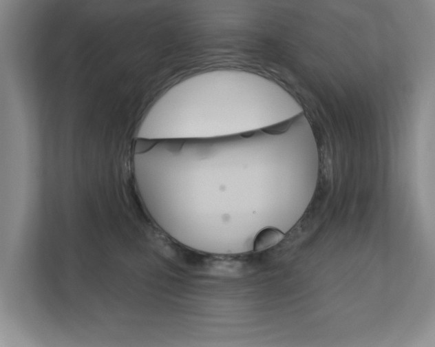 X0000110920471200906181219