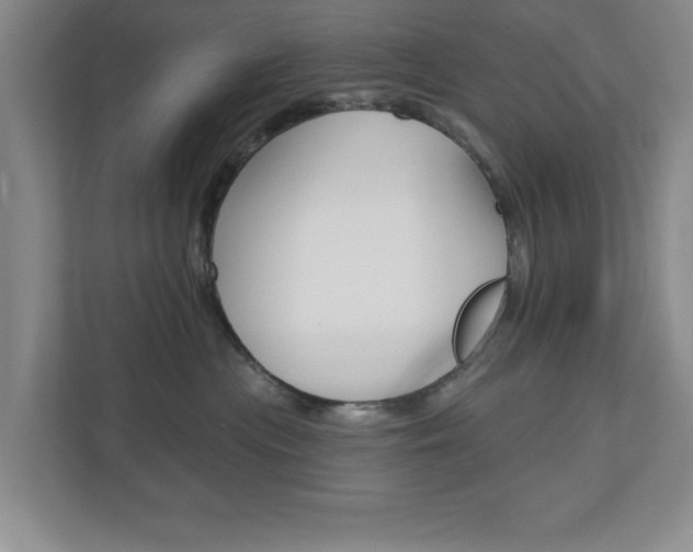 X0000110920477200906181219