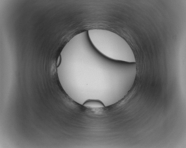 X0000110920478200906181219