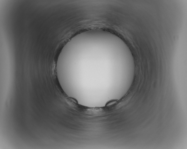X0000110920480200906181219