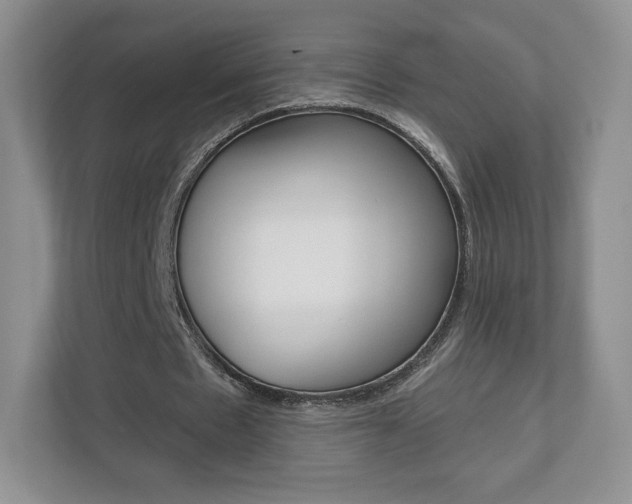 X0000110920481200906181219
