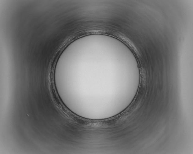 X0000110920482200906181219