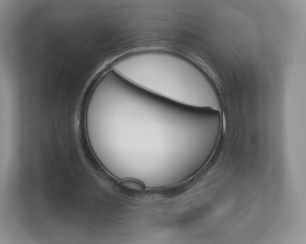 X0000110920483200906181219