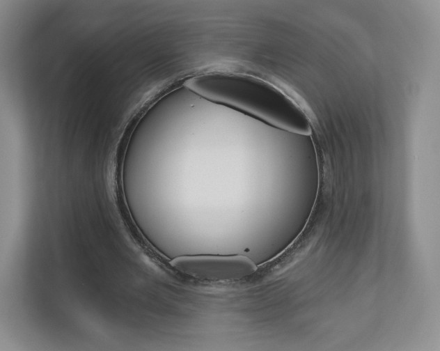 X0000110920485200906181219