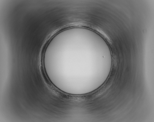 X0000110920486200906181219