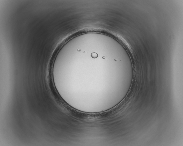 X0000110920487200906181219