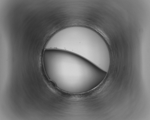 X0000110920489200906181219