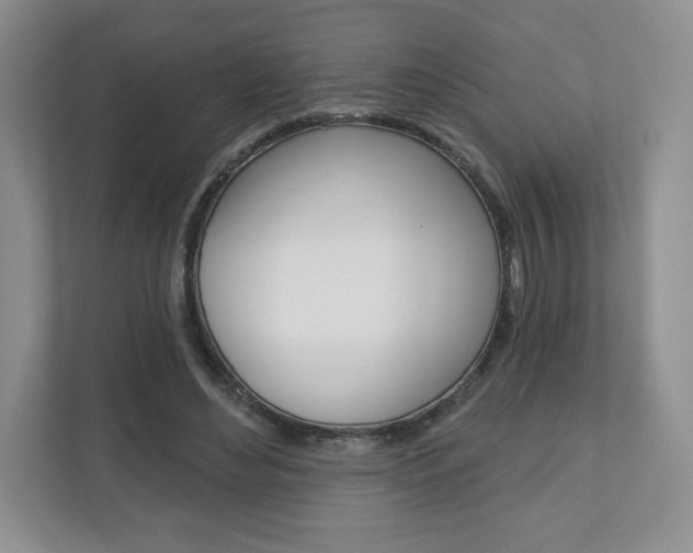 X0000110920492200906181219