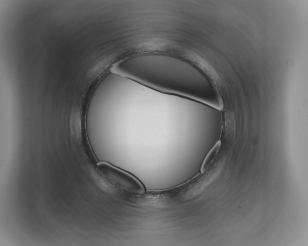 X0000110920493200906181219