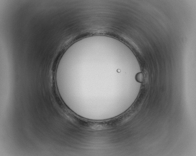 X0000110920494200906181219
