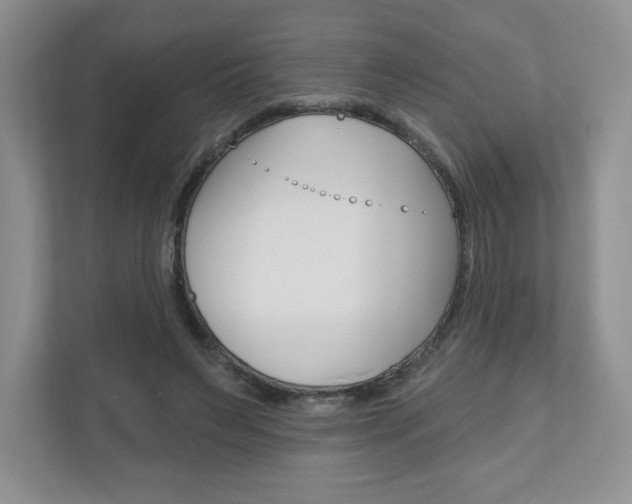 X0000110920495200906181219