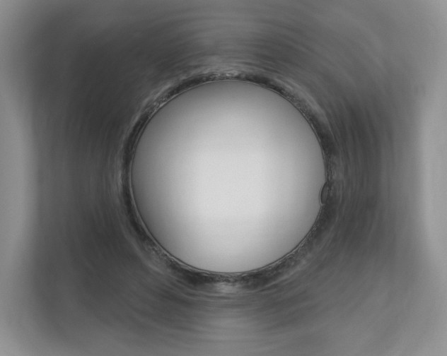 X0000110920496200906181219