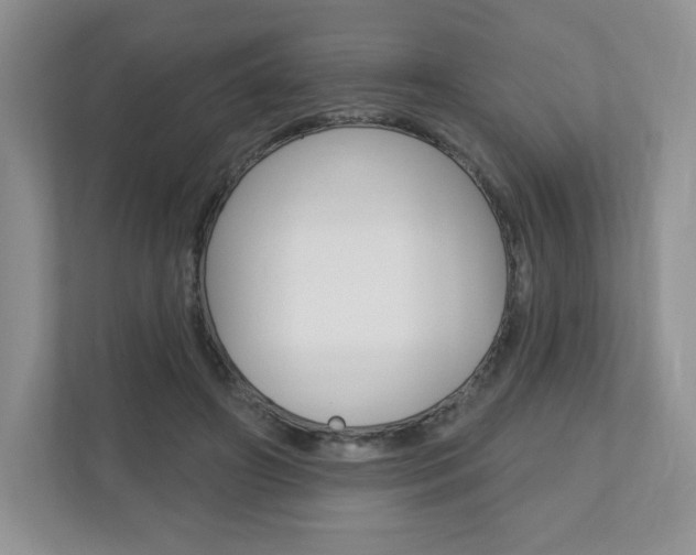 X0000110920498200906181219