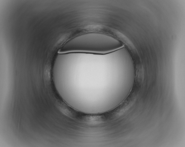 X0000110920501200906181219