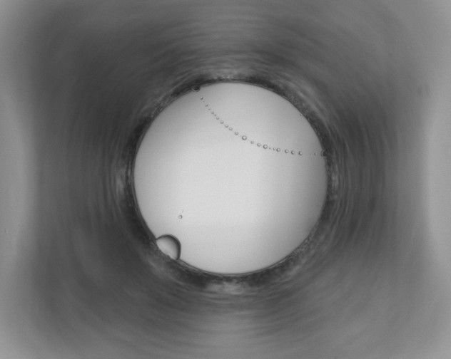 X0000110920503200906181219