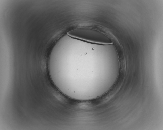 X0000110920505200906181219