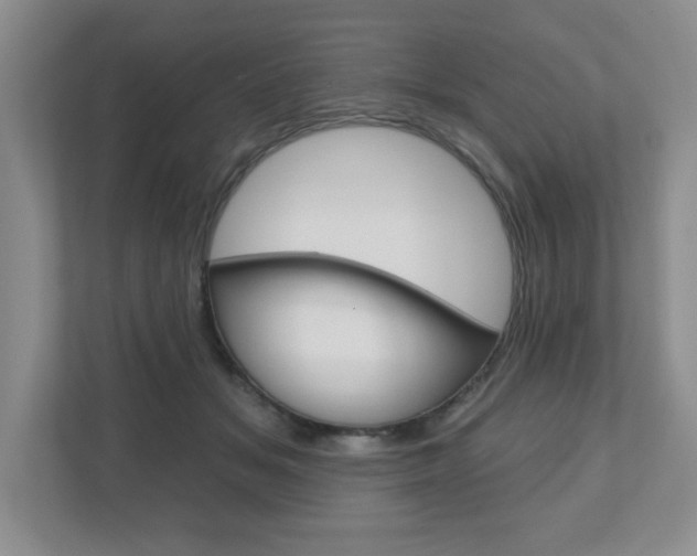 X0000110920509200906181218
