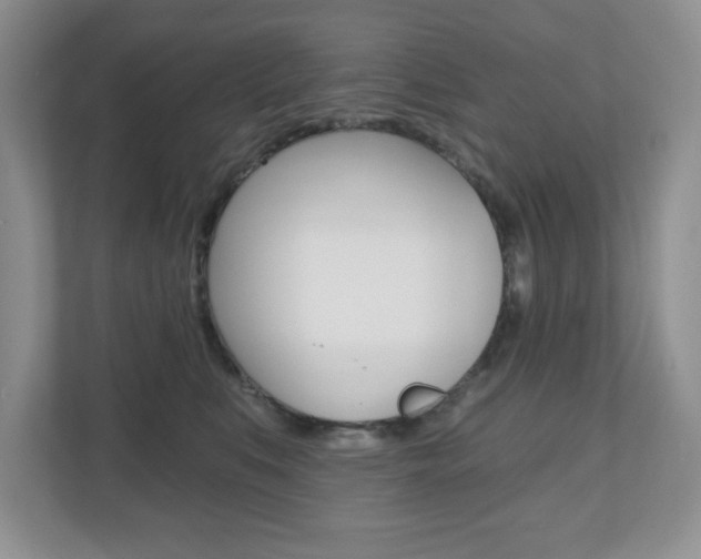 X0000110920519200906181218
