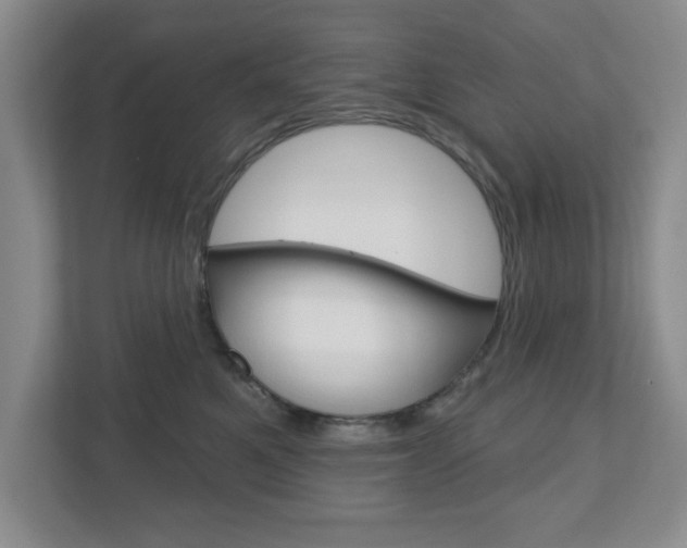 X0000110920521200906181218