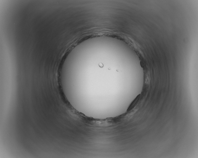 X0000110920524200906181218