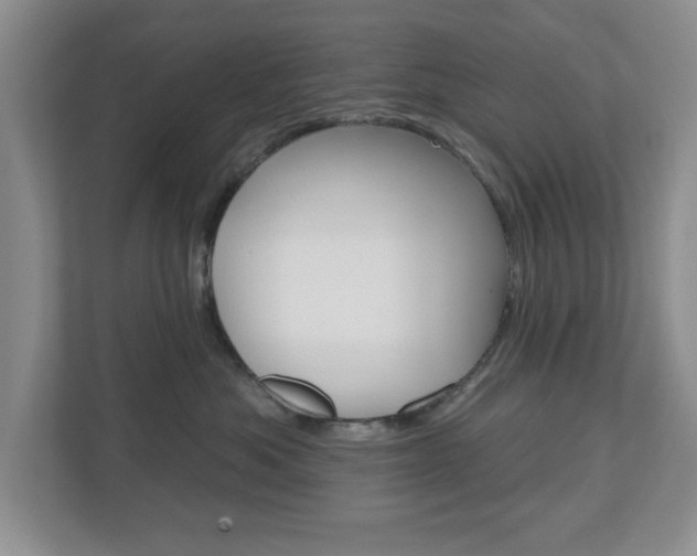 X0000110920525200906181218