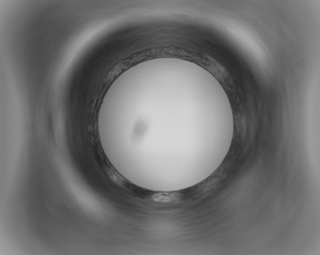 X0000110920526200906181218