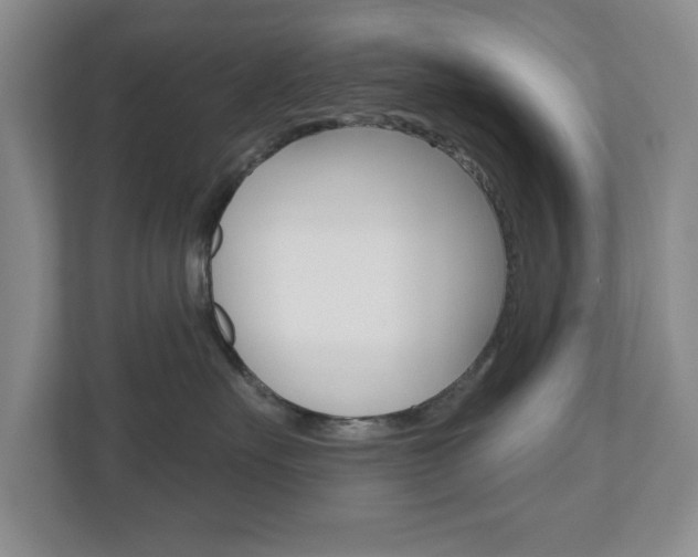 X0000110920527200906181218