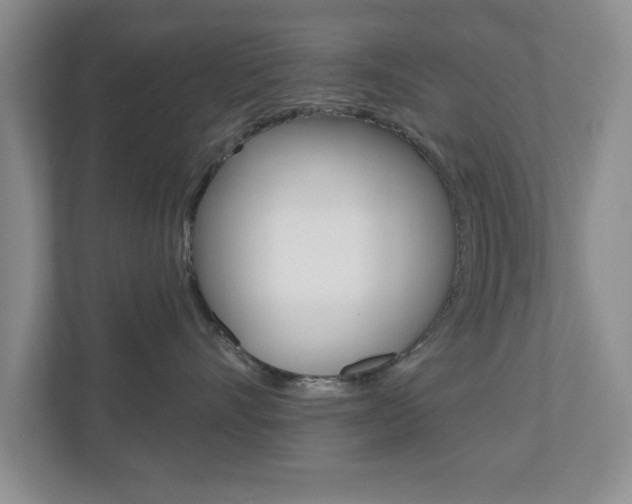 X0000110920528200906181218