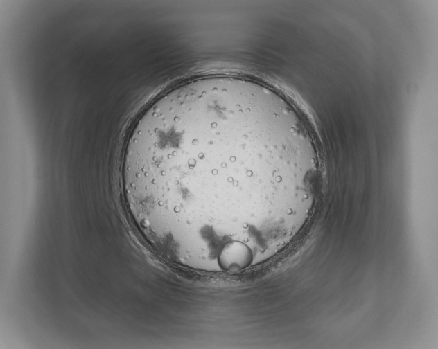 X0000110920529200906181218