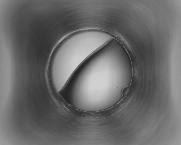X0000110920532200906181218