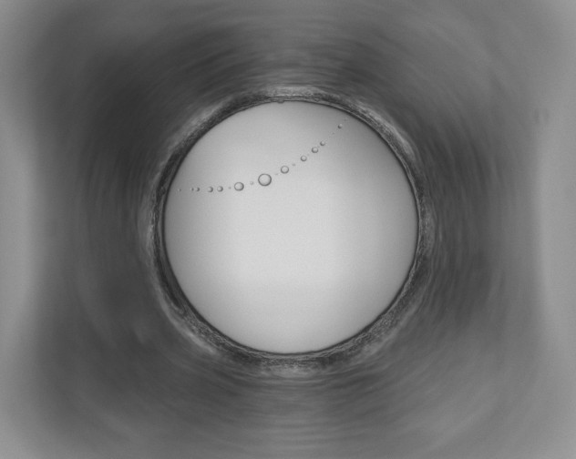 X0000110920533200906181218