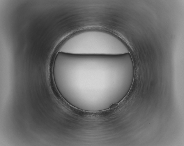 X0000110920535200906181218