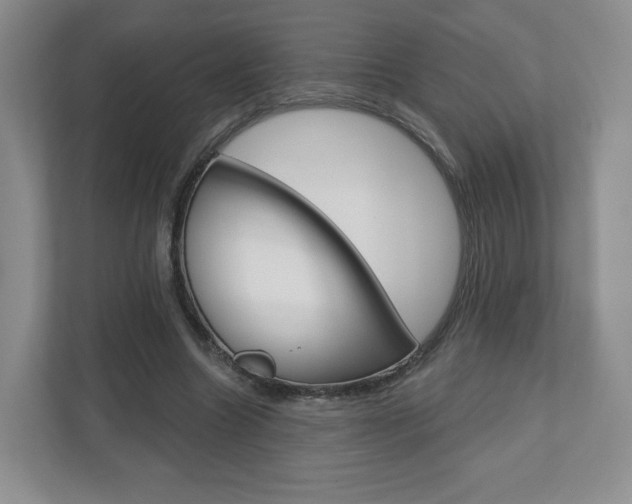 X0000110920538200906181218